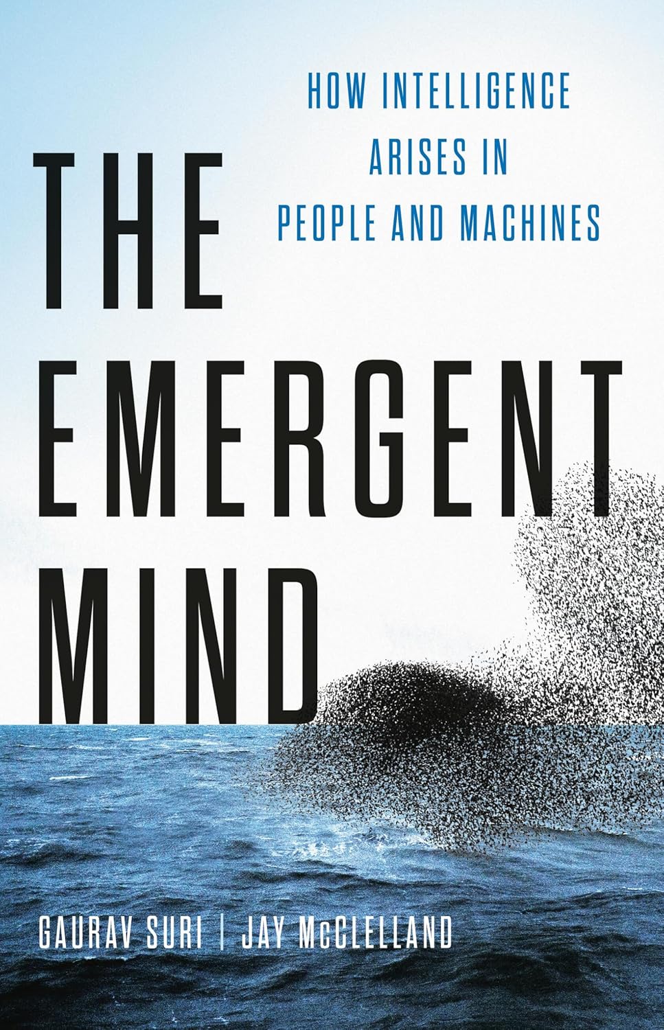 The Emergent Mind