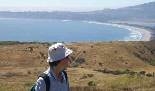 Wendy checks out land use plan at Stinson Beach