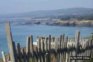 sheep fence