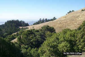 Coastal Trail