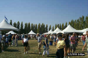 Sausalito Art Festival