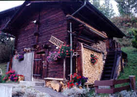 Flowers at a Murren House