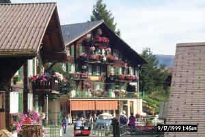 flowers in murren