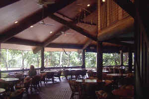 View from the Dining Area