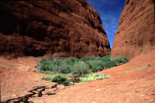 Olga Gorge Trail