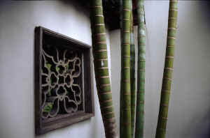Chinese Tea Garden