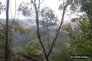 Blue Mountains (Grand Canyon of Australia)