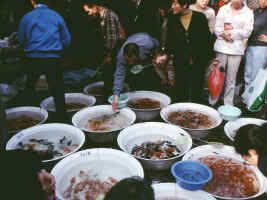 Goldfish in the Market