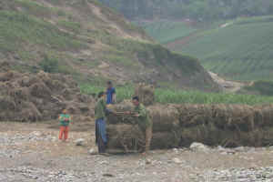 Farmers watched by a baby boy