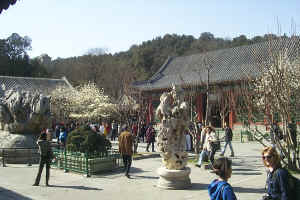 Care and Jane talking in the Courtyard of Cici