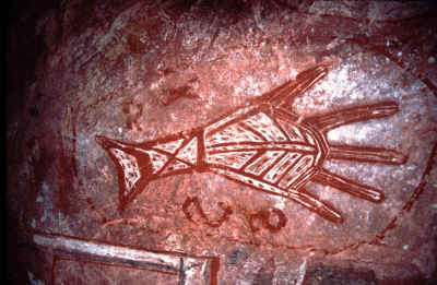 Rock art from Arnheimland