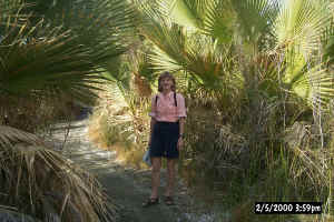 Palm Garden