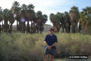 Jon, Palms and Dune