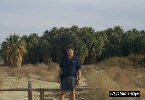 Jon Among the Palms