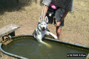 This water sure is fun!