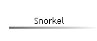 Snorkel