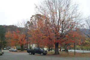 The town of Lake Lure