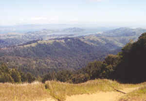 Hiking Mt. Tam