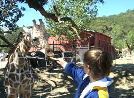 Mallory and Giraffe