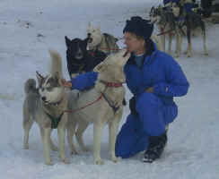 A kiss from one of the huskies