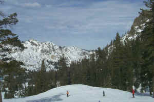 The view from Alpine Meadow