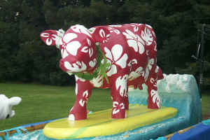 John and Leslie's Cow