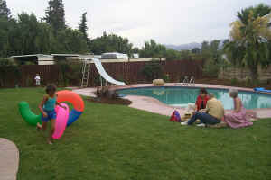 The pool and backyard