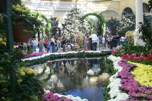 Flowers at the Bellagio