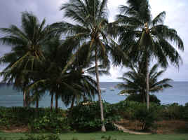 Bay View