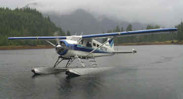 Beaver