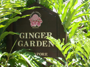 Ginger Garden
