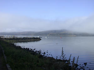 Morning on Tomales Bay