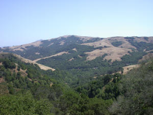 Across Lucas Valley