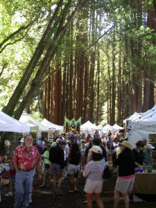 Art Festival in the Redwoods