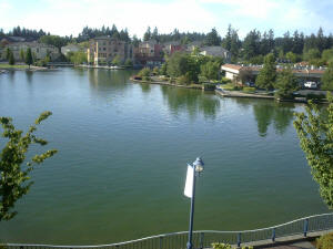 View from the Century Hotel