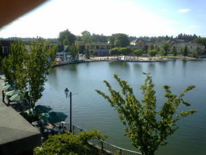 View from the Century Hotel - Tualatin