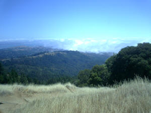 Mt. Tam Cloud