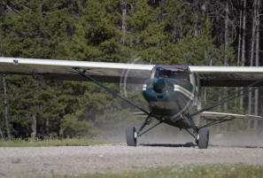 Maule taking off