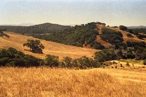 The hike