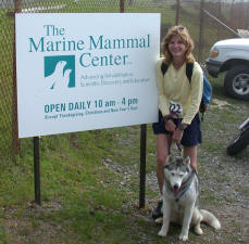 Marine Mammel Center