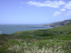 Marin Headlands