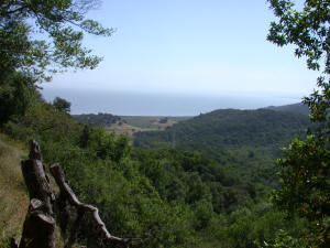 The View from China Camp