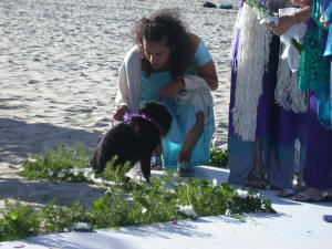 Lupo the ring bearer