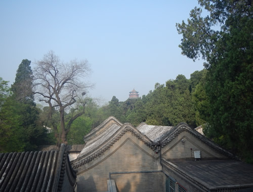 Summer Palace