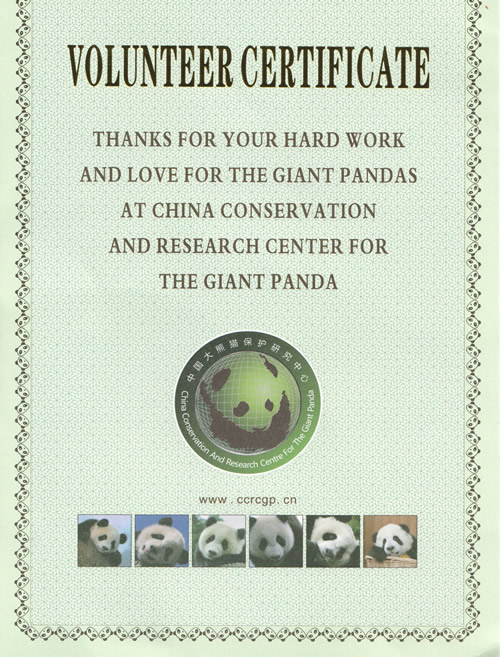 Jon Panda certificate