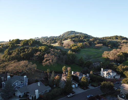 Neighborhood from 100'