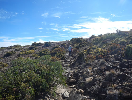 Leleiwi Overlook