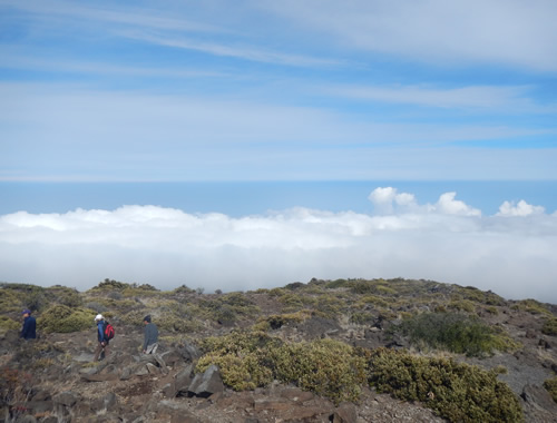 Leleiwi Overlook