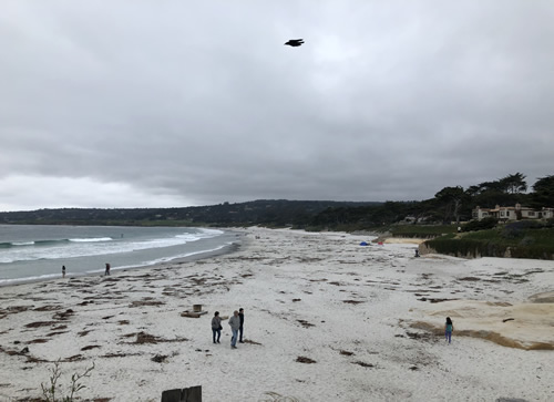 Carmel Beach