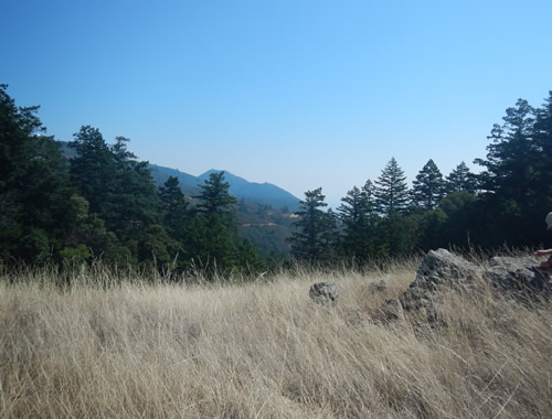 Mt. Tam